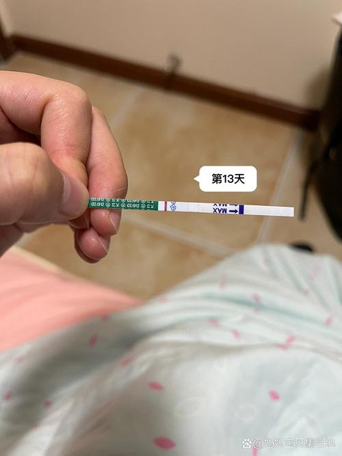 未测到妊娠信号