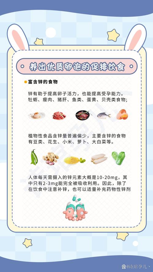 试管婴儿、卵泡生长、饮食调理、运动、心理调节、药物治疗