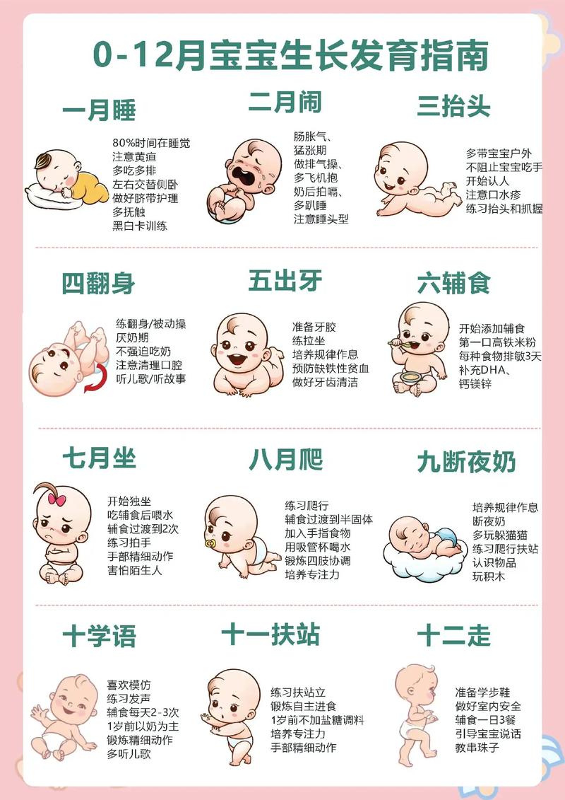 逐渐发育成宝宝。