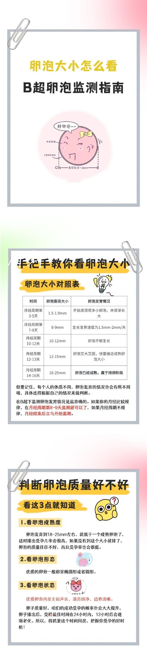 卵泡大小不均