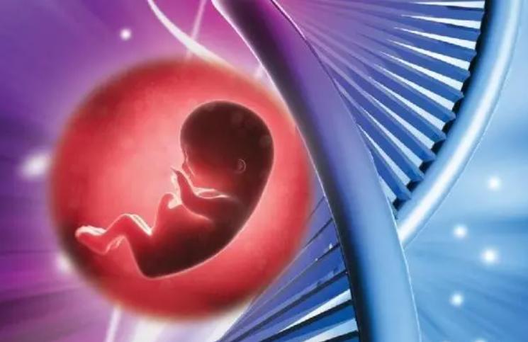 试管婴儿、生育科技、第三代试管婴儿