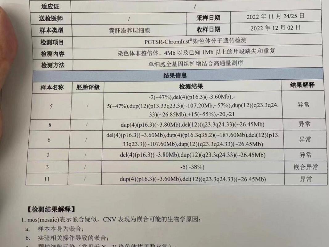 囊胚送检