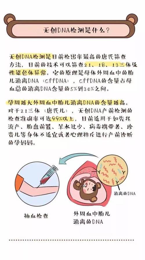 胚胎活检风险