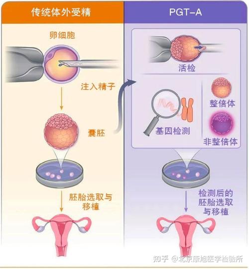 试管婴儿、生殖技术、母婴健康