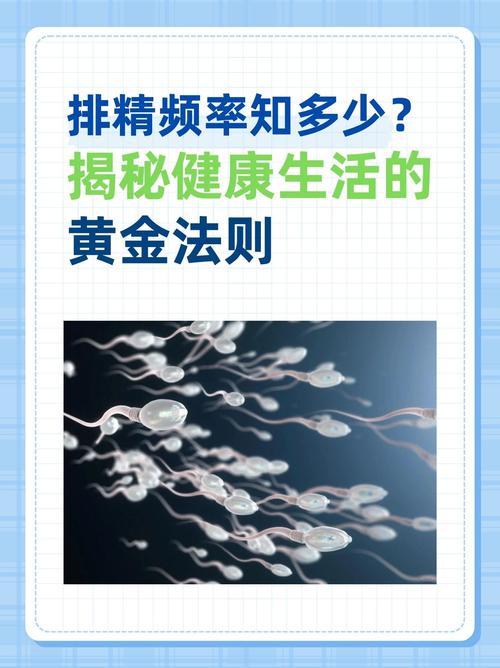 排精频率