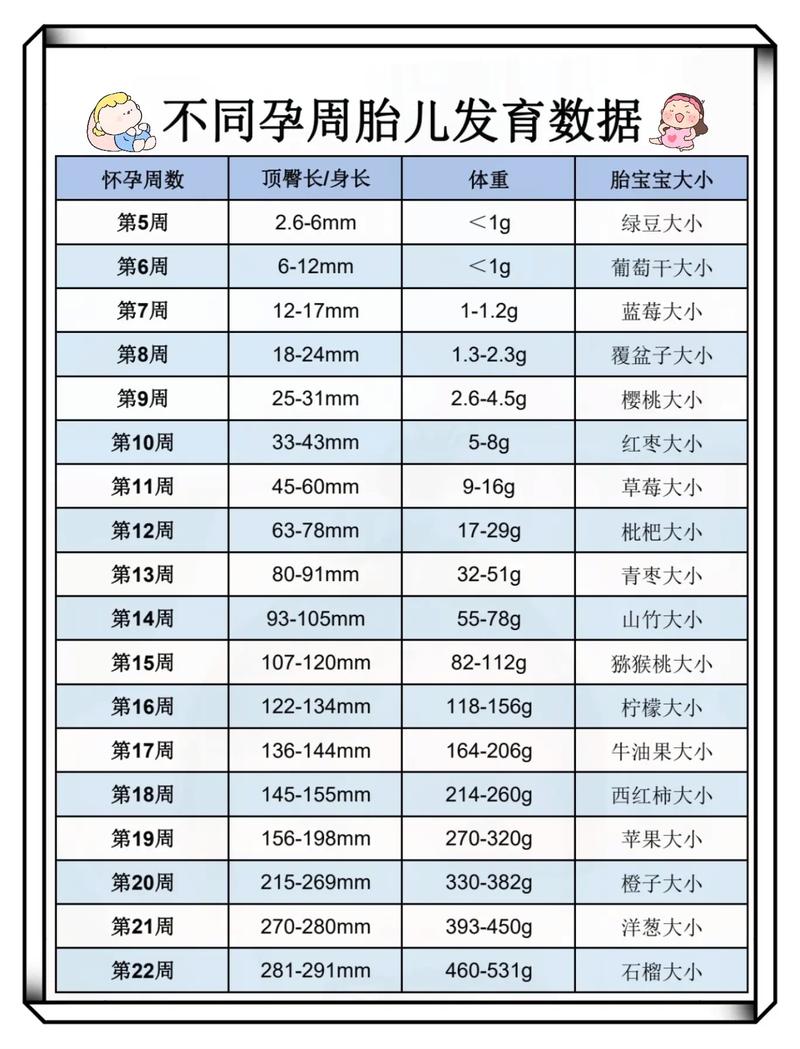 胚胎发育结果
