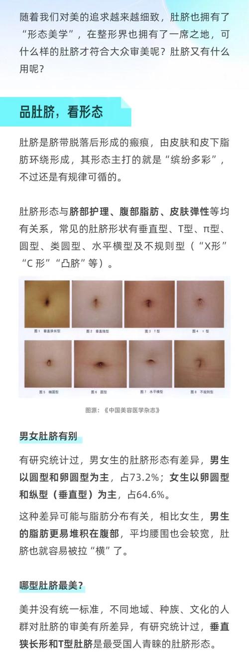 肚脐