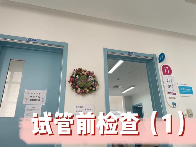 试管前检查