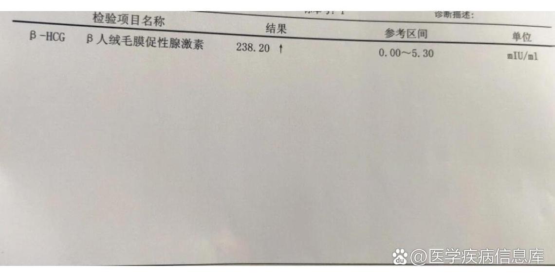 怀孕确认