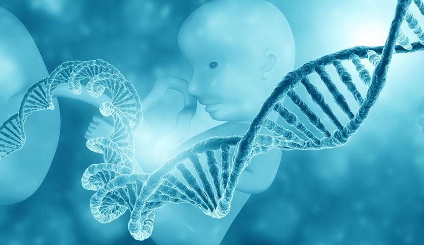 试管婴儿、移植成功、医疗技术、生殖医学