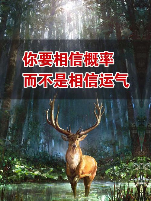 一次成功可能性