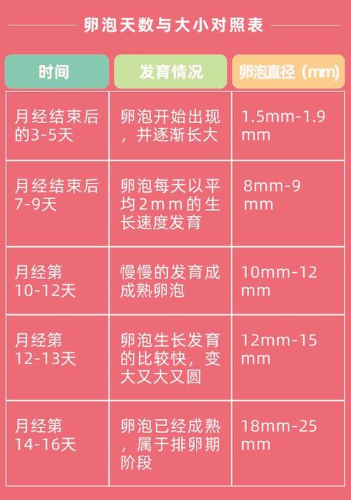  卵子等级
