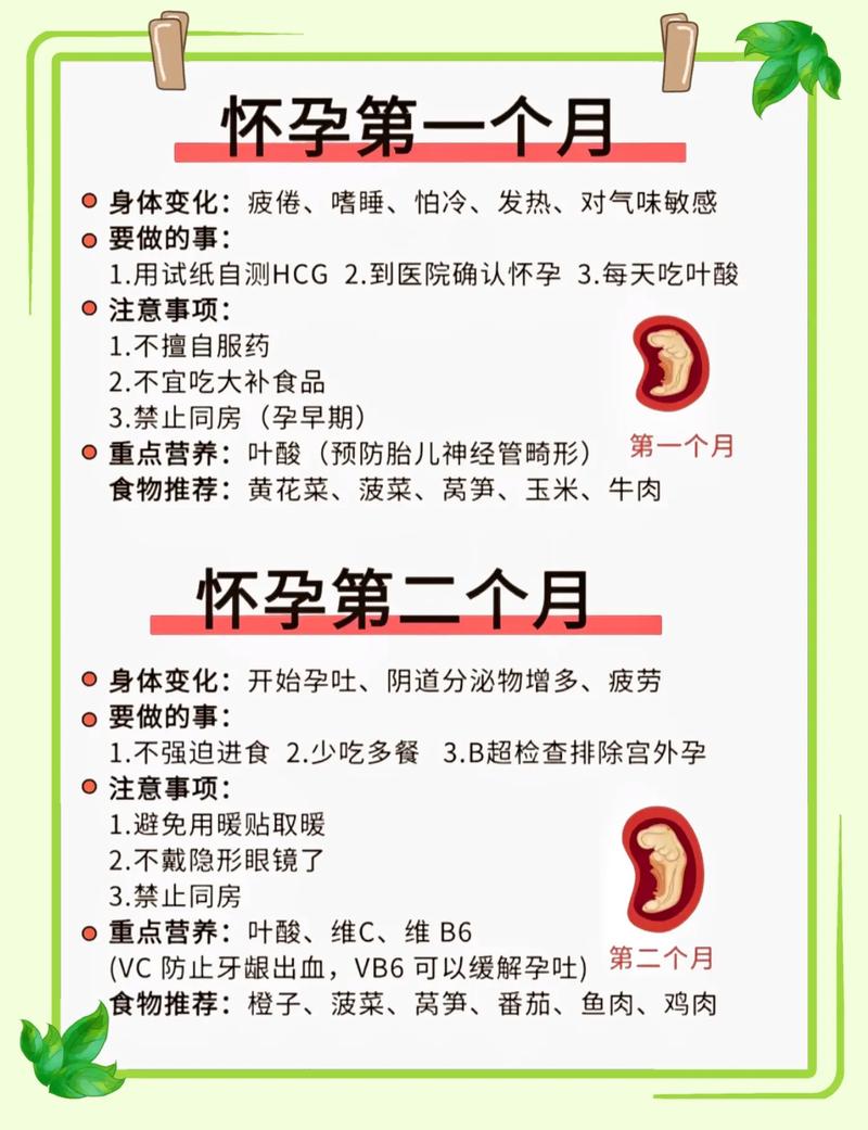 好孕指导
