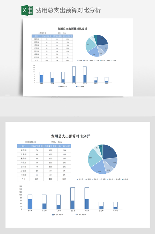  预算分析