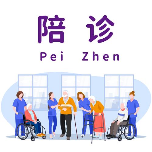 陪同人员