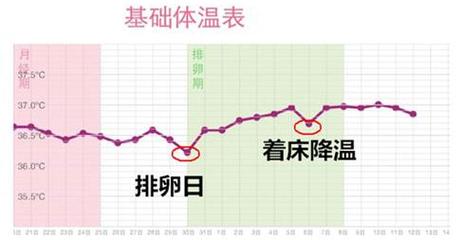 着床期体温变化