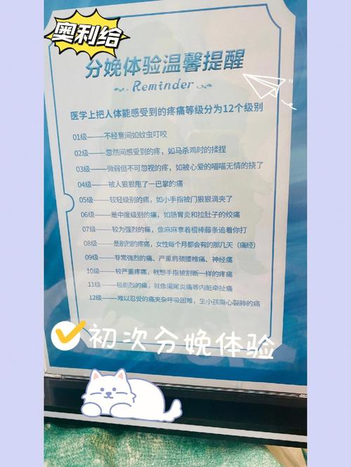 <疼痛体验>