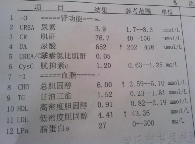 检查报告