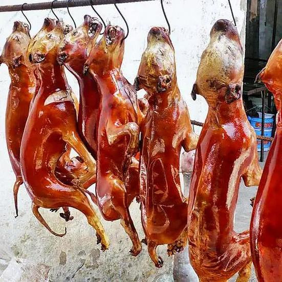 狗肉