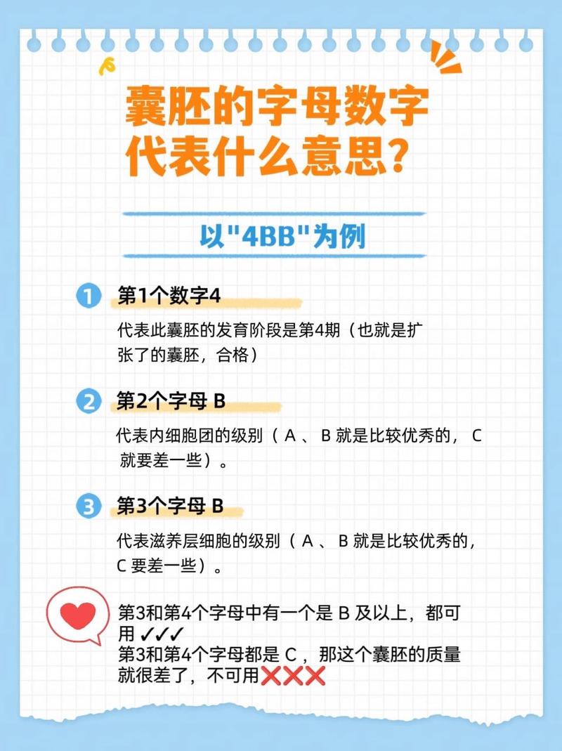 试管婴儿胚胎评级中的4BB是什么意思？解析其含义与影响
