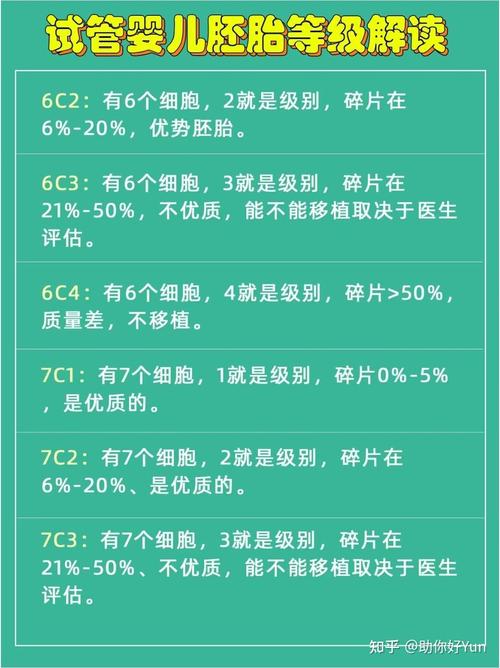 胚胎保留数量