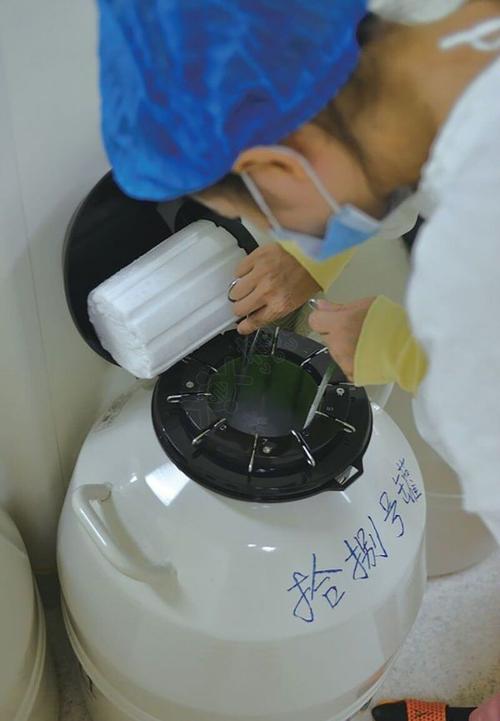 胚胎解冻失活
