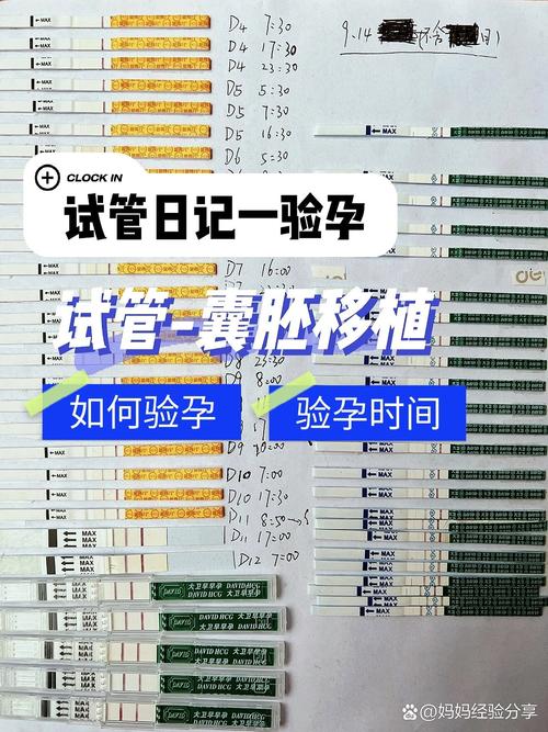试管婴儿、移植后怕冷、生殖医疗