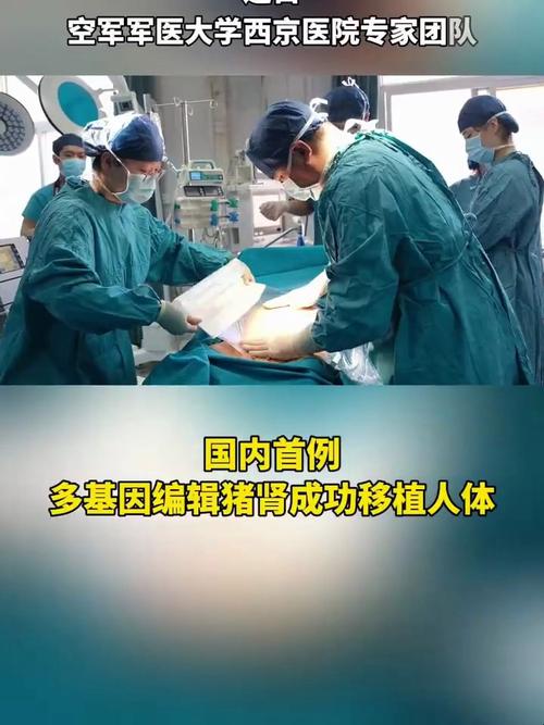 成功移植