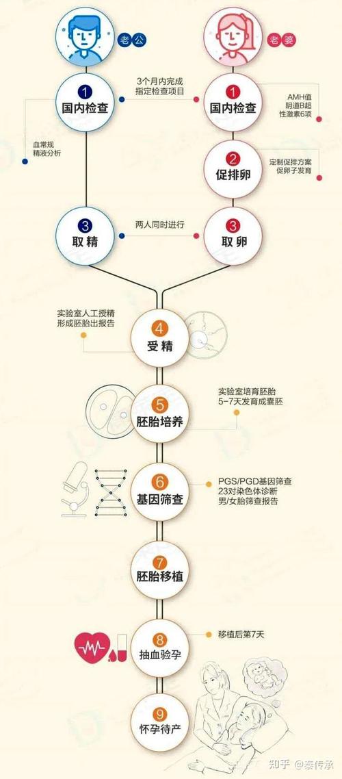 试管婴儿过程：到底需要攒几个胚胎更合适？