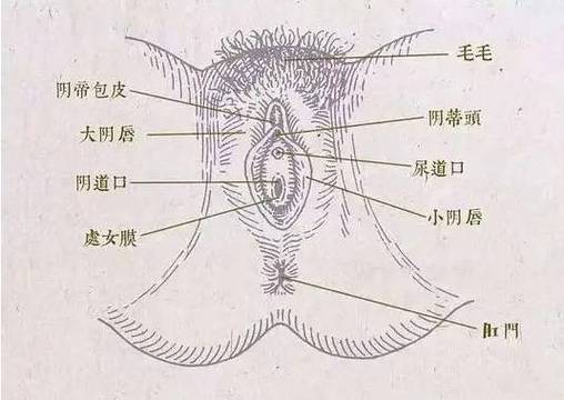 生殖系统异常