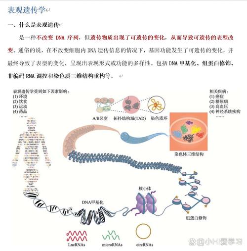 表观遗传