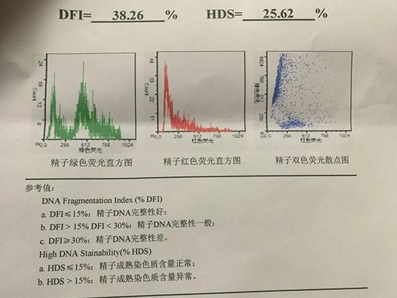  精子DNA完整性