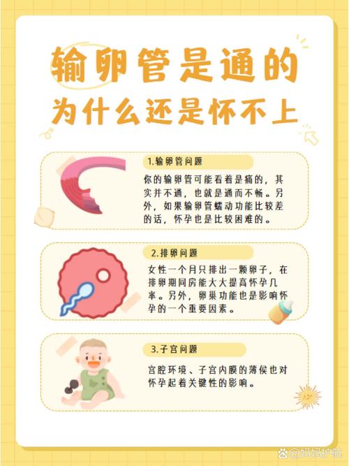 通输卵管