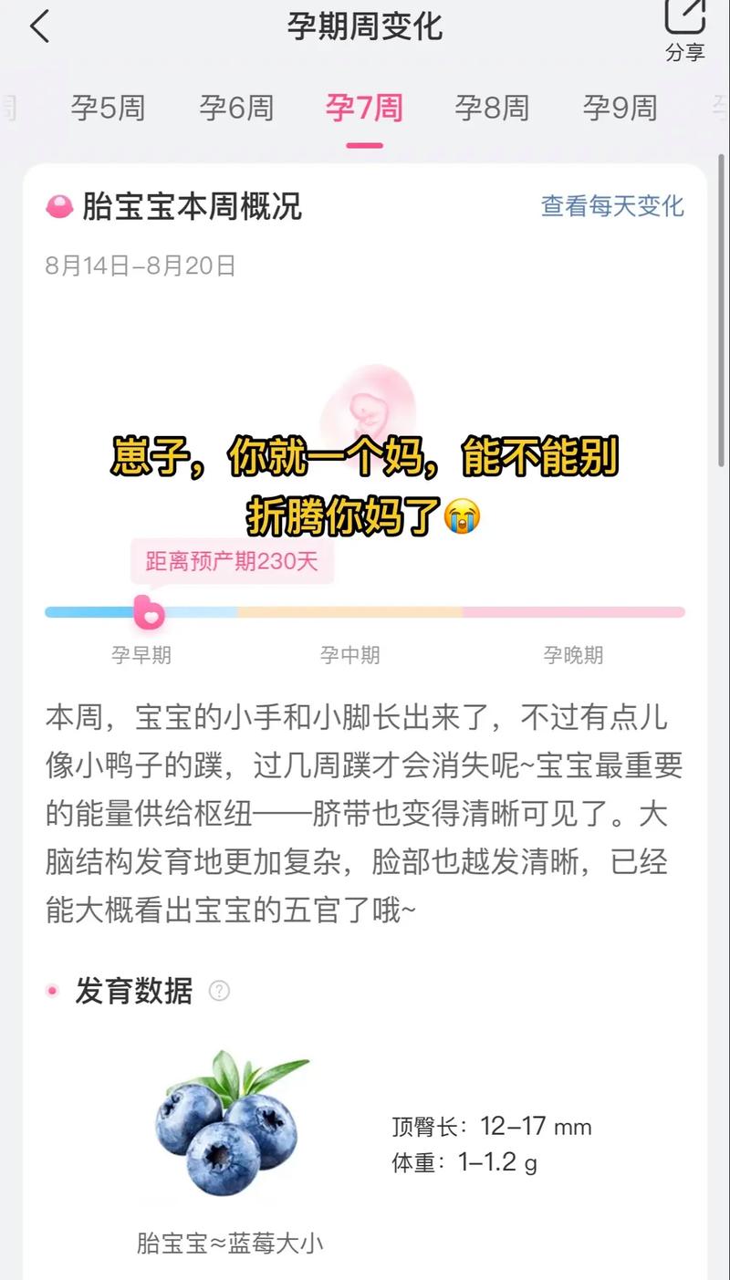 7周成功率