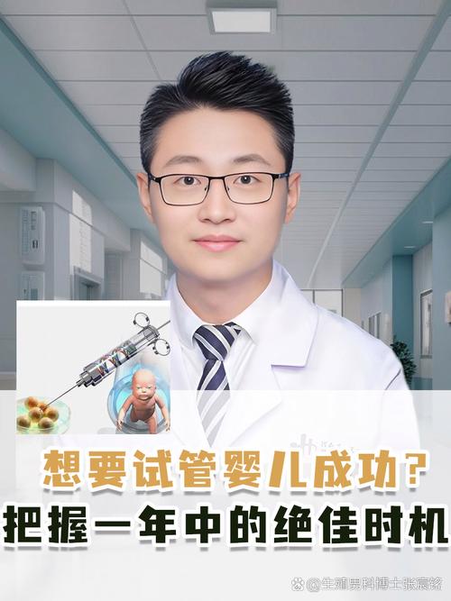 提取</h2>
<p>试管婴儿，体外受精，胚胎移植，工作与恢复，生活平衡</p>

<h2>文章描述</h2>
<p>本文探讨了试管婴儿后如何在工作与身体恢复之间找到平衡，提供了实用的建议和相关统计数据，帮助读者更好地理解和应对这一挑战。</p>