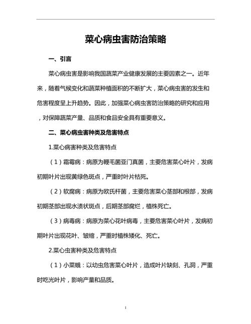 预防策略