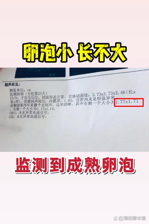  卵泡发育不均