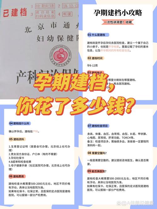 胚胎建档费用