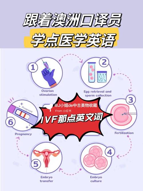  欧洲IVF