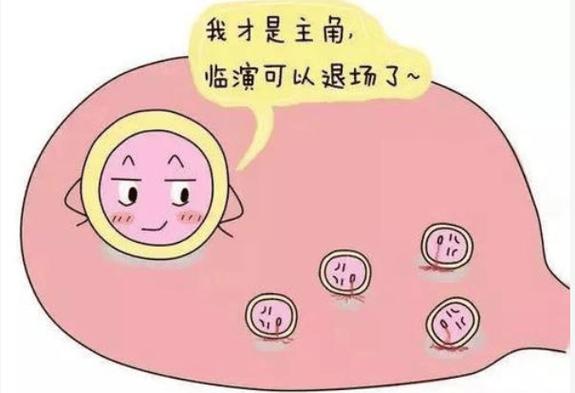 试管婴儿、多卵泡、生殖医学、成功率、健康风险