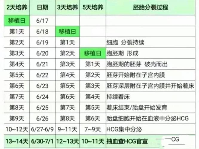 养胚胎时间