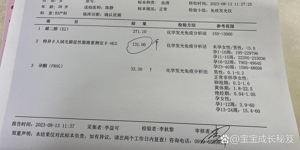 胚囊检测