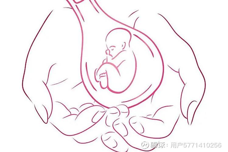  生育辅助