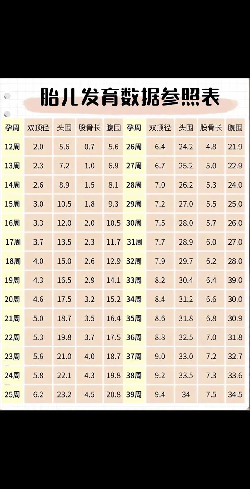  胚胎数量