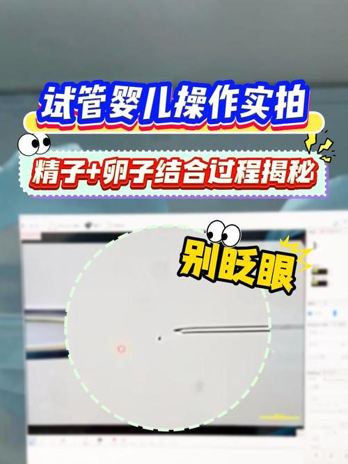 胚胎操作失误
