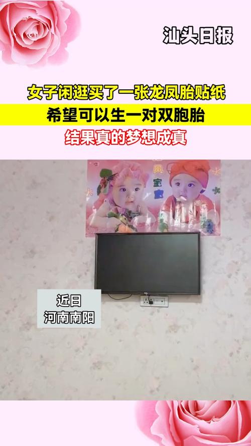 两胎梦想