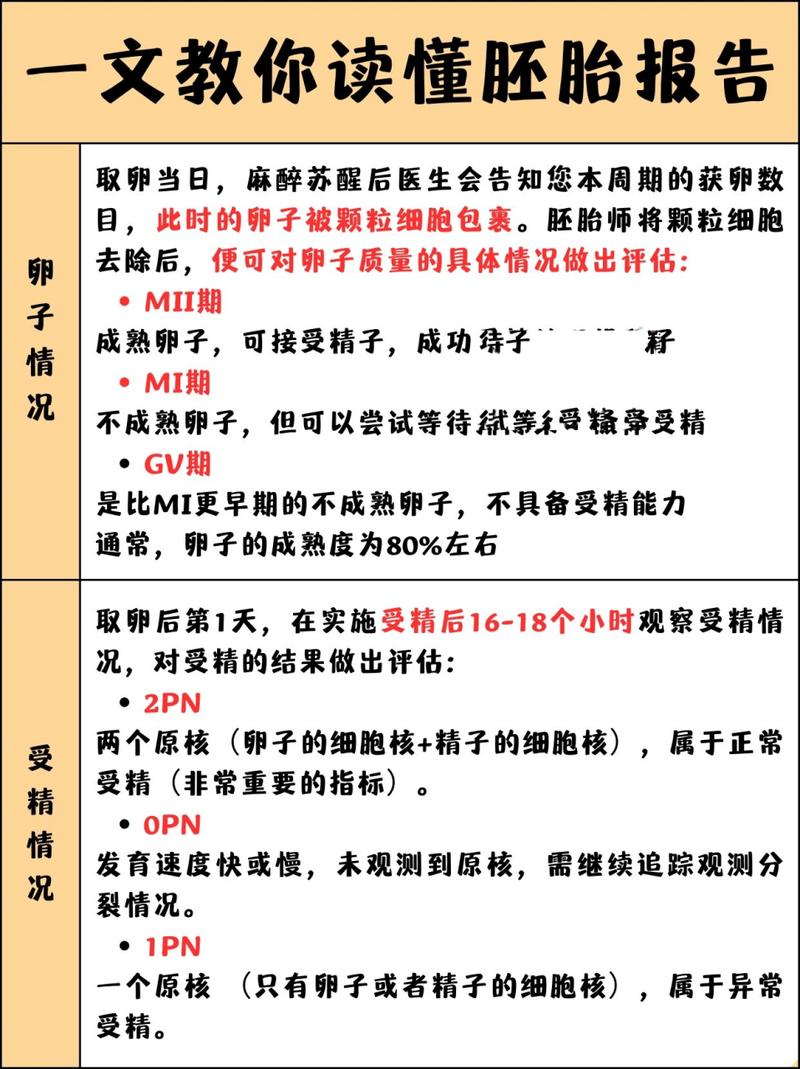 试管婴儿放双卵