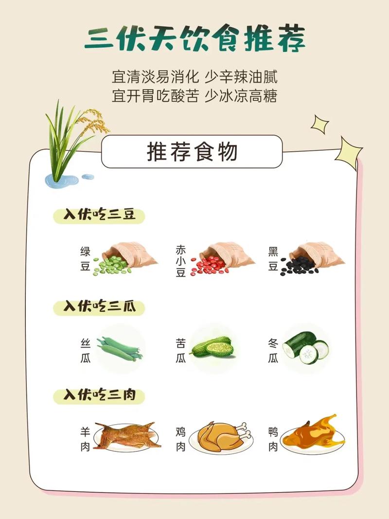 清淡营养易消化