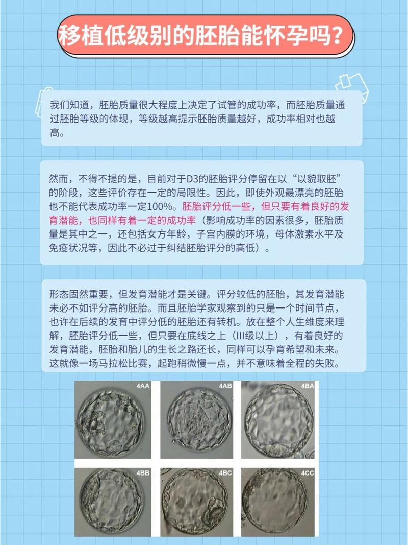 影响胚胎