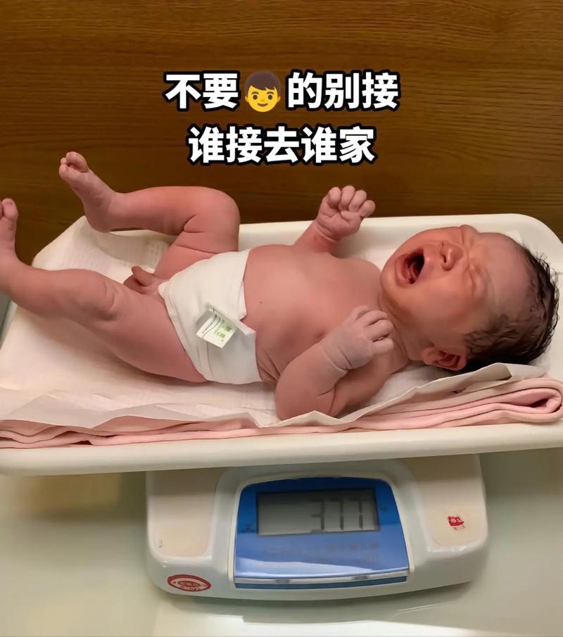 喜得兔宝